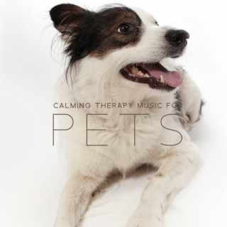 Music Therapy for Pets. Antistress, Anxiousness, Insomnia, Gentle Sounds for Puppies