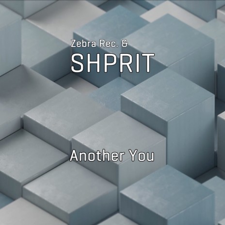 Another You ft. Shprit | Boomplay Music
