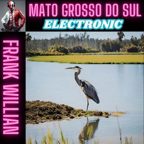 MATO GROSSO DO SUL | Boomplay Music