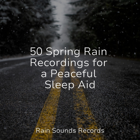 Mystic Marsh Melodies ft. Rain Sound Studio & White Noise Therapy | Boomplay Music