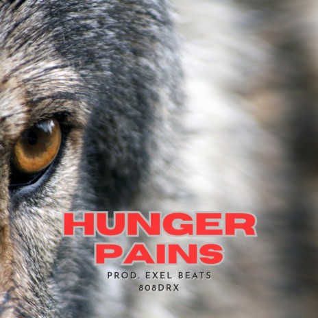 Hunger Pains (Boom Bap) ft. 808drx | Boomplay Music