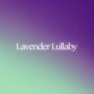 Lavender Lullaby