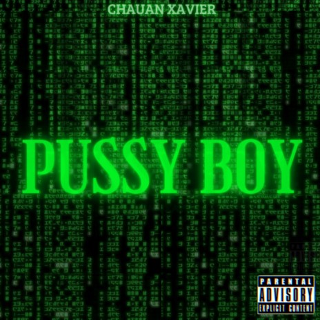 PUSSY BOY | Boomplay Music