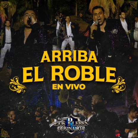 Arriba el Roble (En Vivo) | Boomplay Music