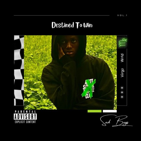 Destined To Win | Boomplay Music