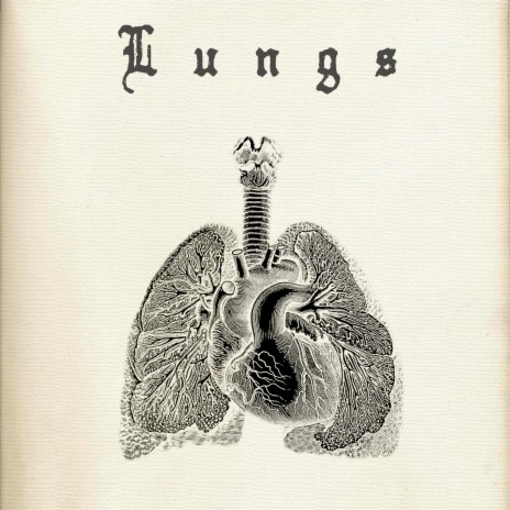 Lungs