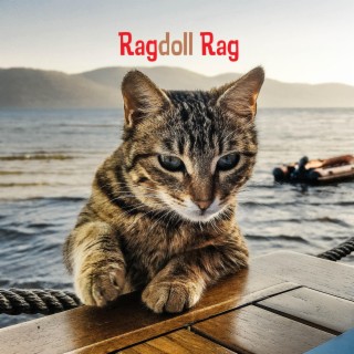 Ragdoll Rag
