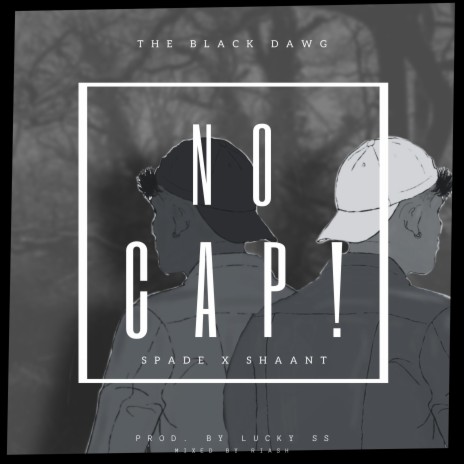 No Cap ft. Shaant, Spade & LuckySS | Boomplay Music