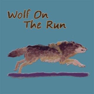 Wolf On The Run