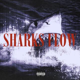 SHARKS FLOW