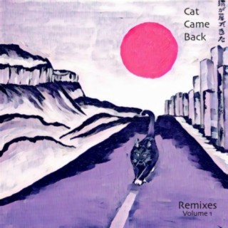 Remixes Volume 1