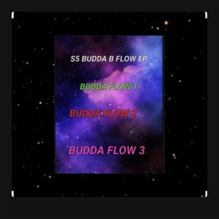 BUDDA FLOW BP