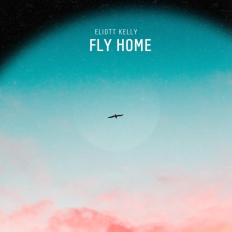 Fly Home | Boomplay Music