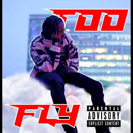 TOO FLY | Boomplay Music