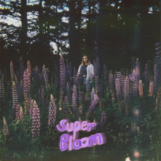 Super Bloom lyrics | Boomplay Music