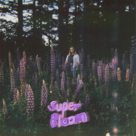 Super Bloom | Boomplay Music