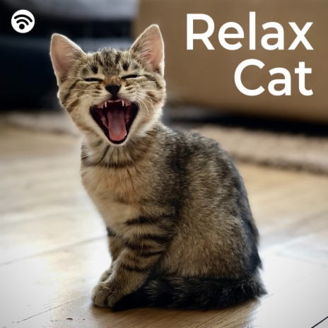 Zen Meow: Melodies for Feline Serenity ft. Relaxmycat & Jazz Music for Cats | Boomplay Music