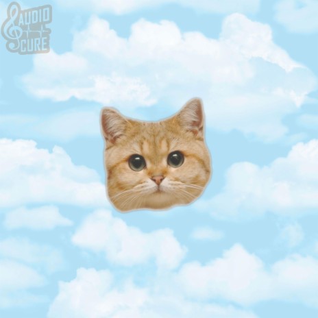 Num Num Cat | Boomplay Music