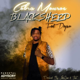 Black Sheep ft. Deysvn lyrics | Boomplay Music