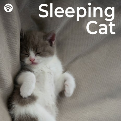 Slumbering Paws ft. Cat Music Therapy & Cat Relax Music | Boomplay Music