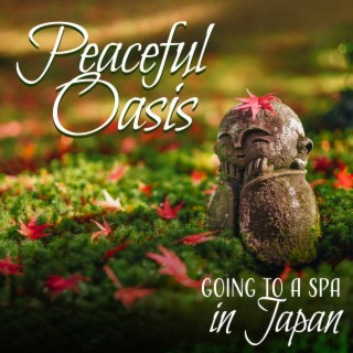 Peaceful Oasis: Going to a Spa in Japan