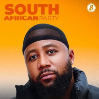 South African Party | Boomplay Music