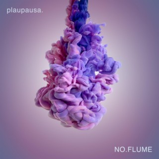 NO.FLUME