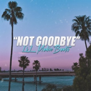 Not Goodbye