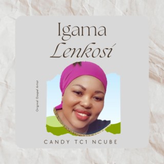 Igama leNkosi