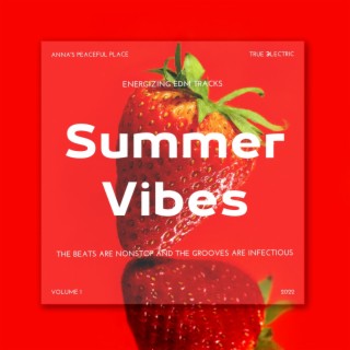 Summer Vibes, Vol. 1