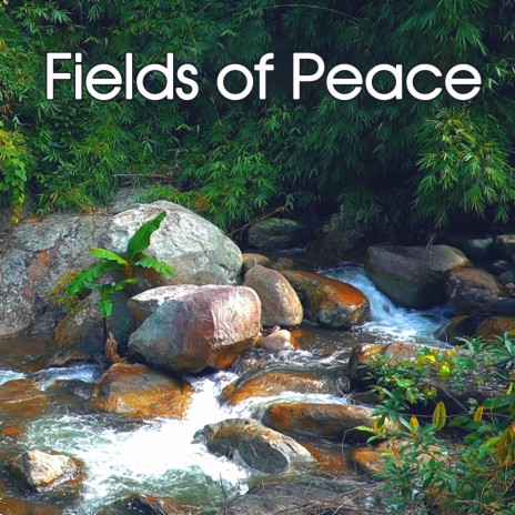 Fields of Peace 26 | Boomplay Music