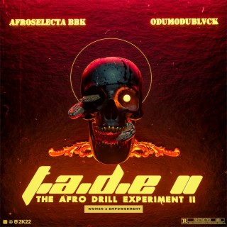 T a D E : The Afro Drill Experiment II