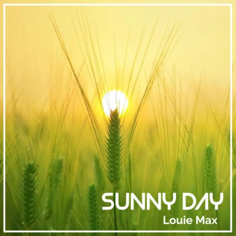 SUNNY DAY | Boomplay Music