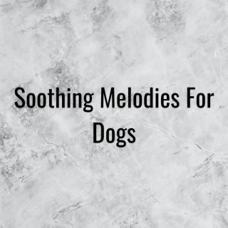 Soothing Melodies For Dogs
