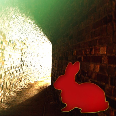 Red Rabbit | Boomplay Music