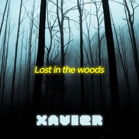 Lost In The Woods | Boomplay Music