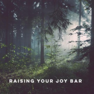 Raising Your Joy Bar