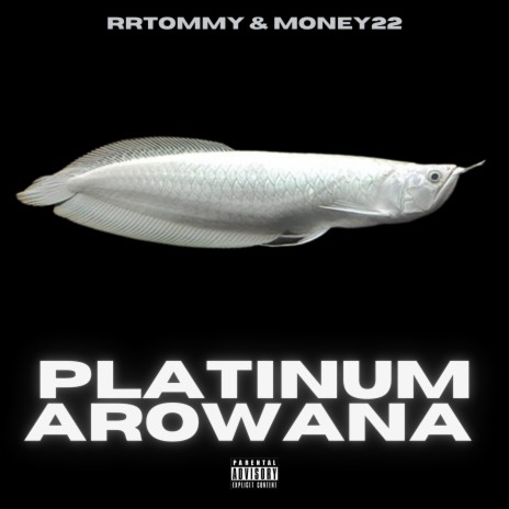 PLATINUM AROWANA ft. Money22 | Boomplay Music