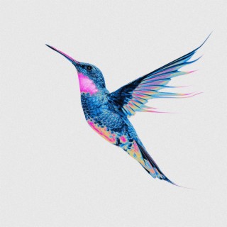 Hummingbird ft. Katrina Anastasia lyrics | Boomplay Music