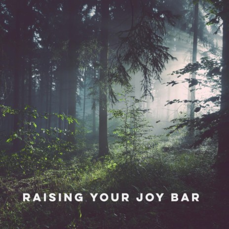 Raising Your Joy Bar | Boomplay Music