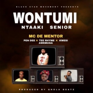 Wontumi Ntaki Senior (feat. Pen Dee Beatz, Tee Rhyme & Kwesi Amewuga)