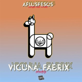 Vicuna Fabrix (Freestyle)