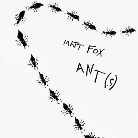 Ant(s)