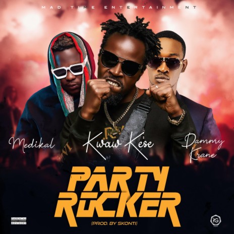 Party Rocker (feat. Medikal & Dammy Krane) | Boomplay Music