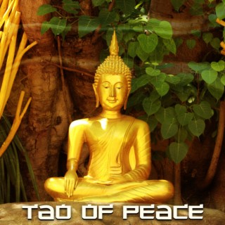 Tao of Peace: Balance Is the Key, Healing Soul Relaxation & Liquid Spirit, Sacred Inner Being, Keep Calm with Buddha Journey
