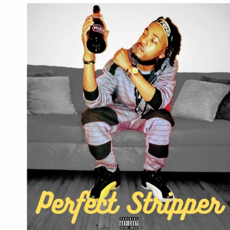 Perfect Stripper | Boomplay Music