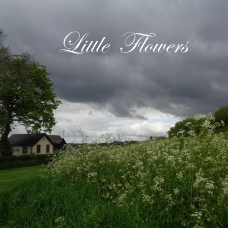 Little Flowers | Boomplay Music