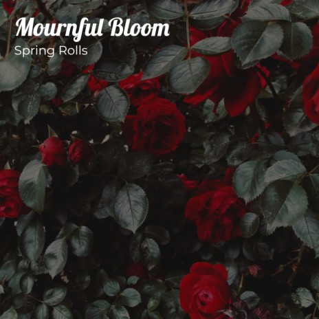 Mournfool Bloom | Boomplay Music