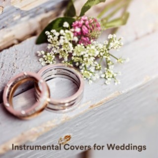 Instrumental Covers for Weddings