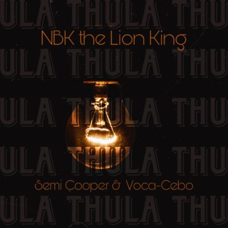 Thula ft. Semi Cooper & Voca-Ceebo